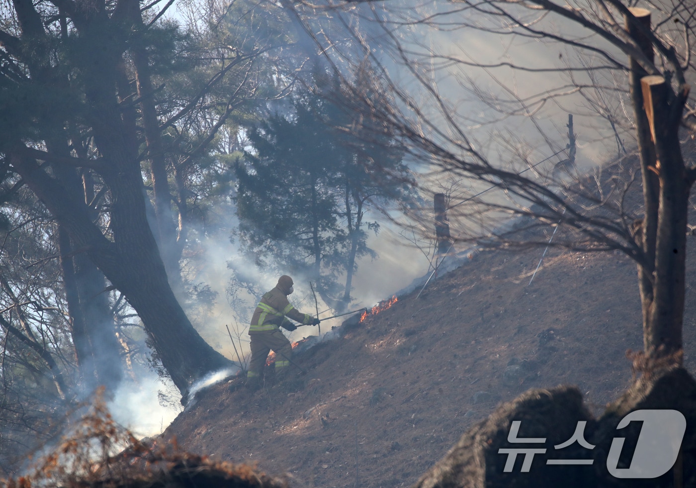 (사진은 기사 내용과 무관함) / 2026.2.23 ⓒ 뉴스1 윤일지 기자