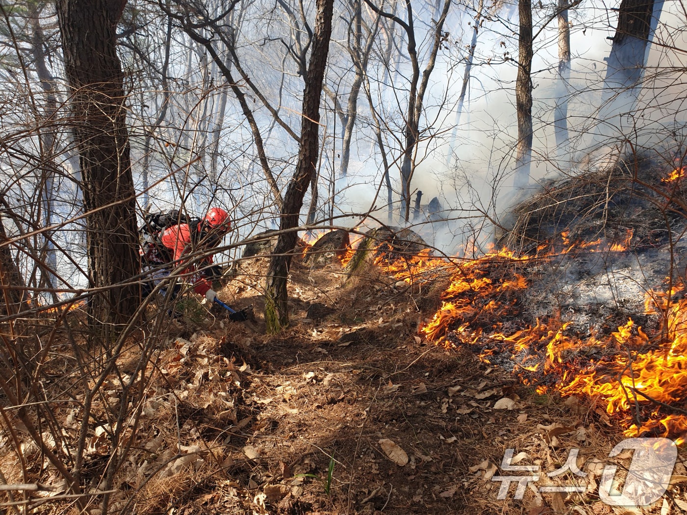  산림청 산불재난특수진화대원들이 방화선을 구축하며 진화 작업을 하고 있다. (산림청 제공. 재판매 및 DB 금지) 2026.2.23 ⓒ 뉴스1 윤일지 기자