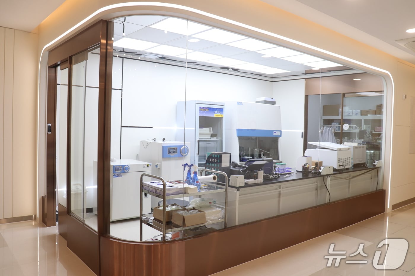 "실로 당기고 셀로 체우자"...줄기세포 기반 실리프팅 '눈길' - 뉴스 썸네일 이미지