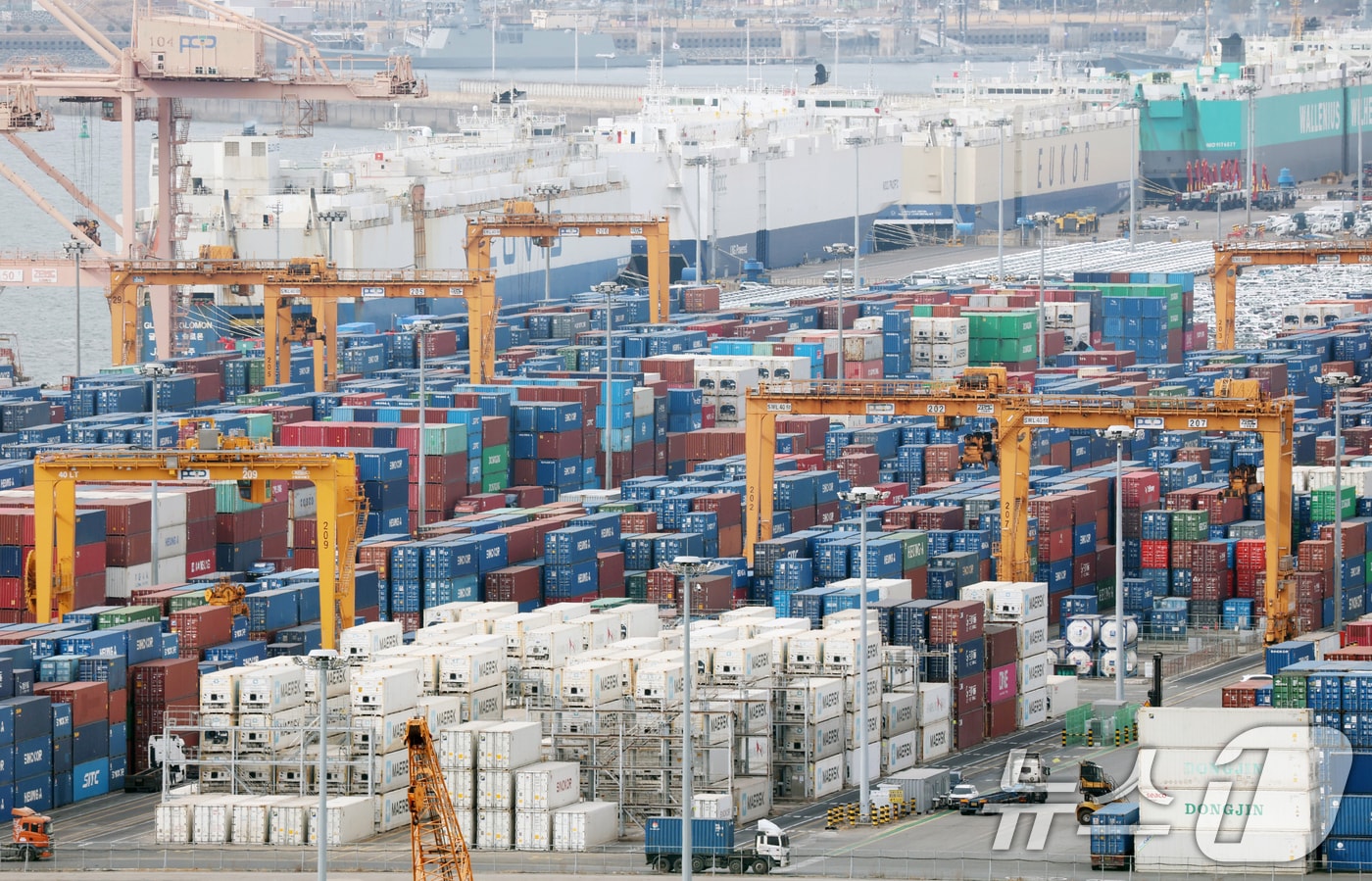 23일 경기 평택시 포승읍 평택항에 수출용 컨테이너가 쌓여있다. 2026.2.23 ⓒ 뉴스1 김영운 기자