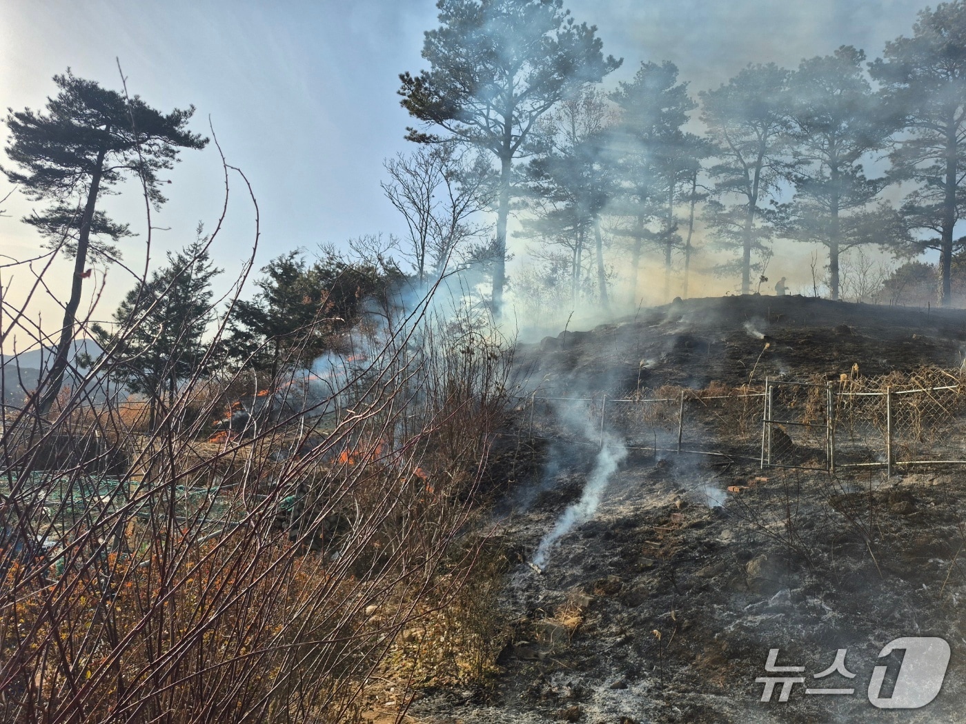 23일 오후 4시 5분쯤 순천시 상사면 호사산에서 발생한 산불이 화재 발생 2시간여만에 완전히 진화됐다. (순천시 제공. 재판매 및 DB금지)