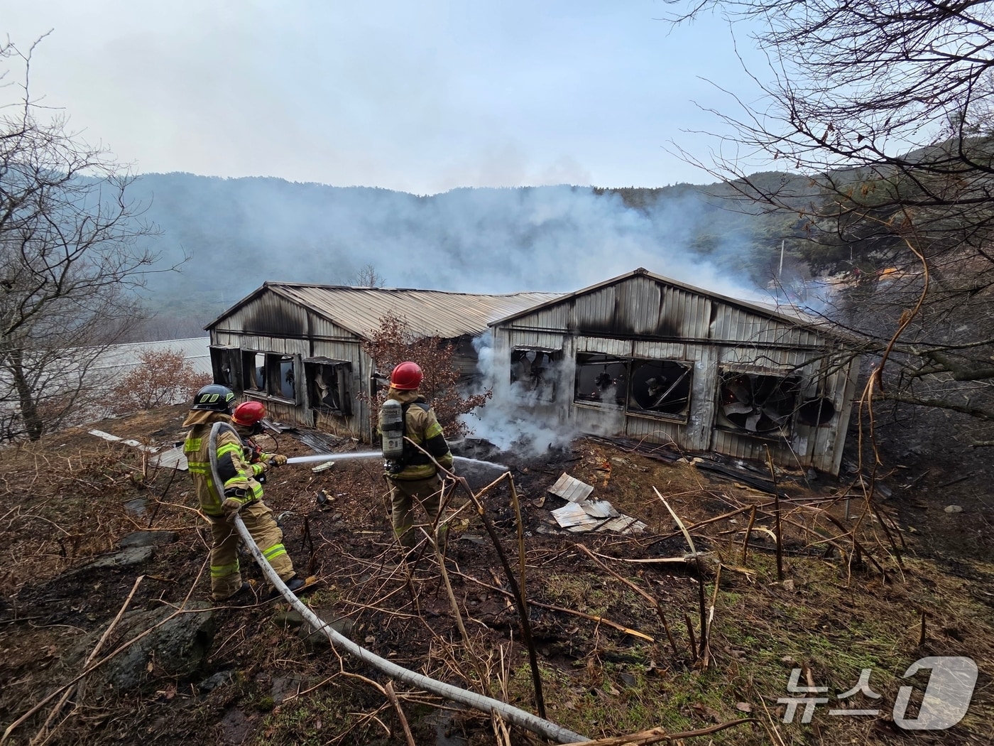 보령 양계장 화재 현장. (보령소방서 제공, 재판매 및  DB금지) / 뉴스1