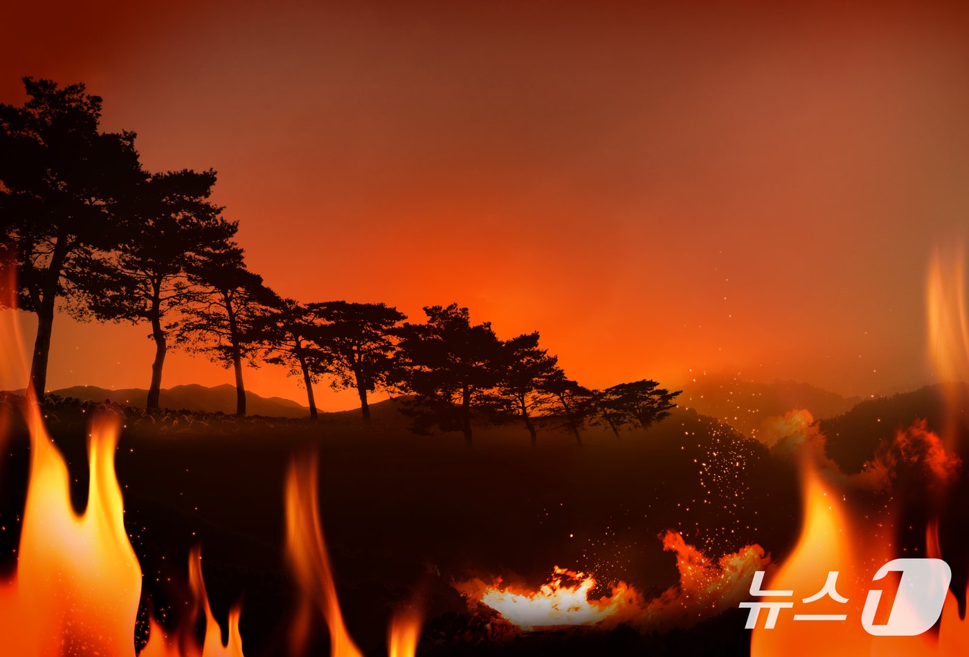  산불