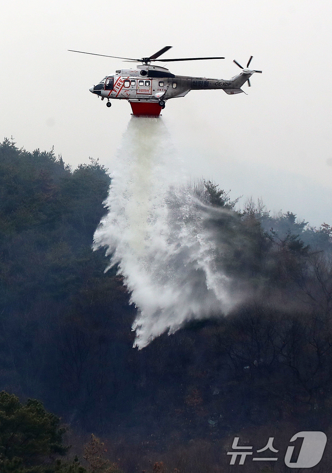 경남 밀양 산불 이틀째인 24일 오전 삼랑진읍 검세리 산불 현장에서 산림청 산불진화 헬기가 산불에 검게 그을려 있다. 2026.2.24 ⓒ 뉴스1 윤일지 기자