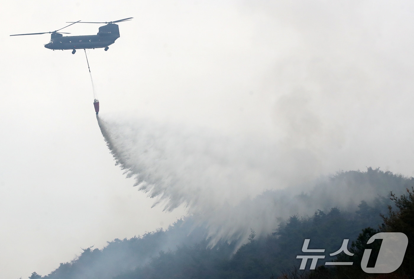 경남 밀양 산불 이틀째인 24일 오전 삼랑진읍 검세리 산불 현장에서 육군 치누크 헬기(CH-47)가 진화 작업을 벌이고 있다. 2026.2.24 ⓒ 뉴스1 윤일지 기자