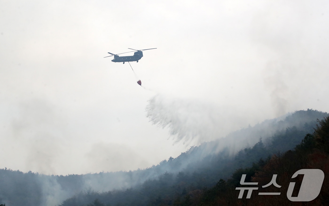 산불 진화 모습.(사진은 기사 내용과 무관함) / 뉴스1 ⓒ News1