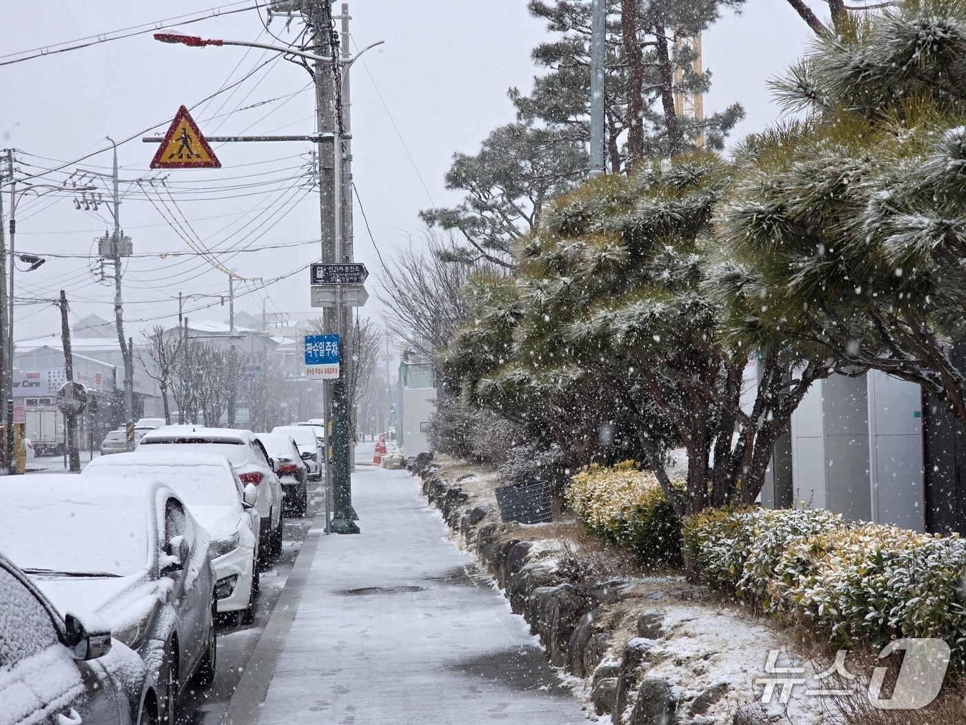 함양군 함양읍 일원에 24일 오전 11시부터 눈이 내리고 있다(독자 제공. 재판매 및 DB금지). 2026.2.24