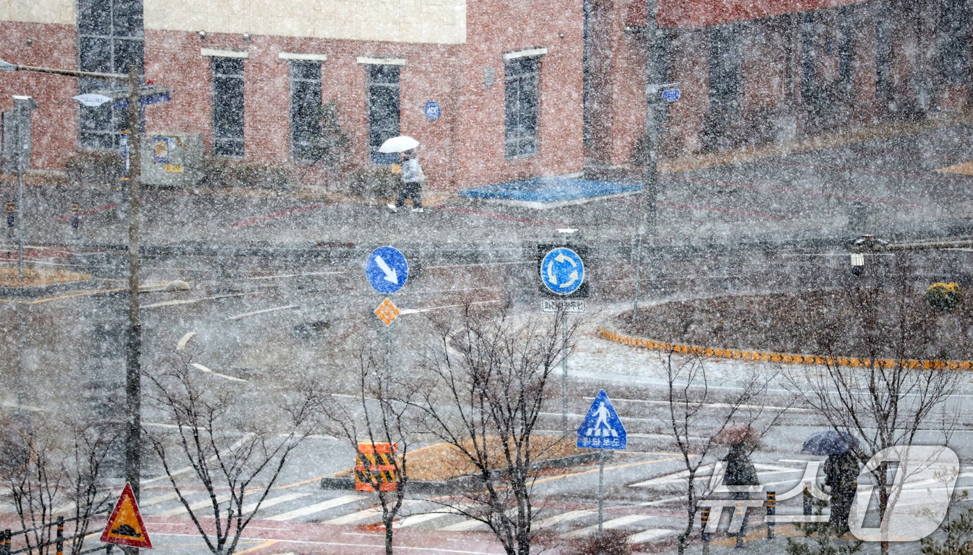 24일 전북 완주군 삼례읍 일원에 진눈깨비가 내리고 있다. 2026.2.24 (사진은 기사 내용과 무관함) ⓒ 뉴스1 유경석 기자