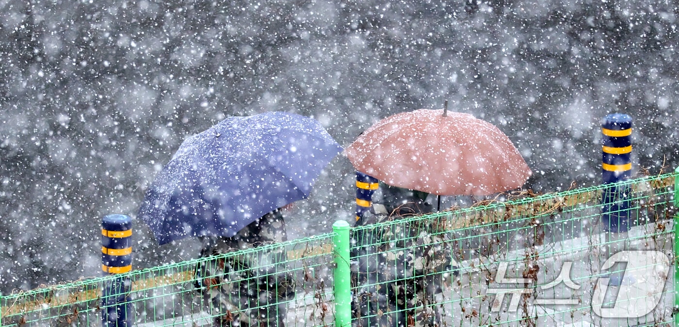 전북 완주군 삼례읍 일원에 진눈깨비가 내리고 있다. 2026.2.24 ⓒ 뉴스1 유경석 기자