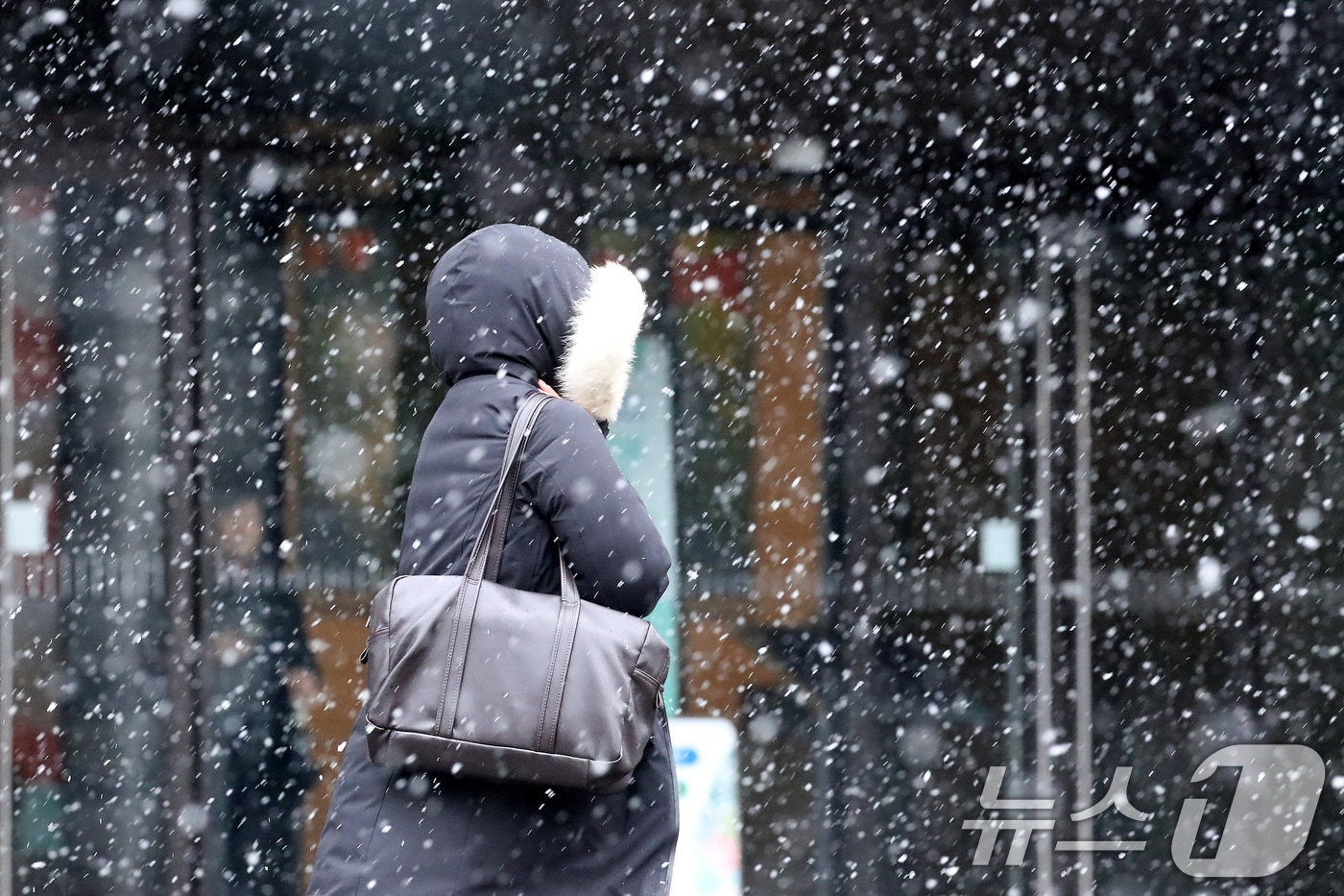 24일 오후 대구 수성구 대구은행네거리 인근에서 미처 우산을 준비하지 못한 시민이 눈을 맞으며 발걸음을 재촉하고 있다. 2026.2.24 ⓒ 뉴스1 공정식 기자
