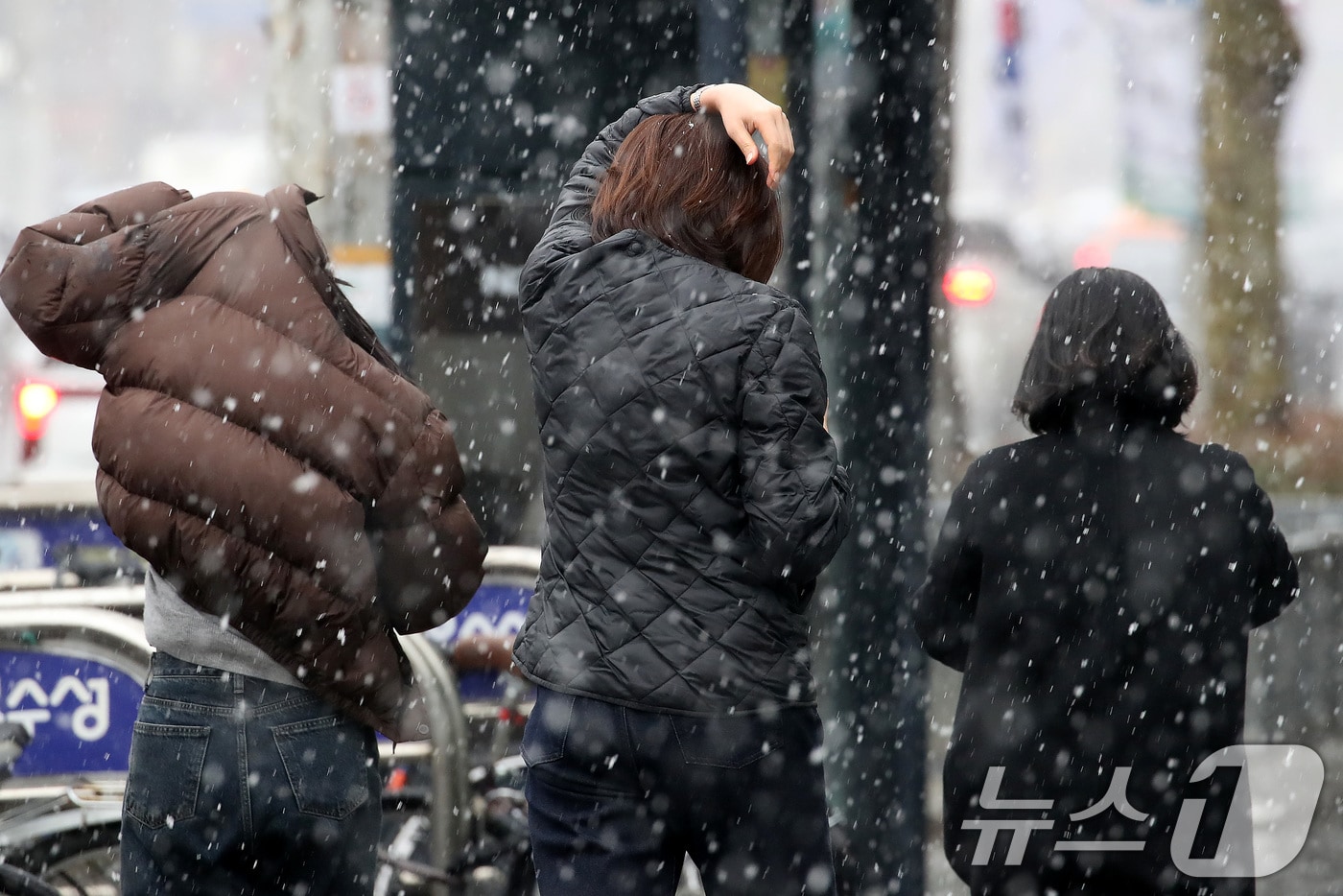 눈 내리는 거리.사진은 기사 내용과 무관함) / 뉴스1 ⓒ News1