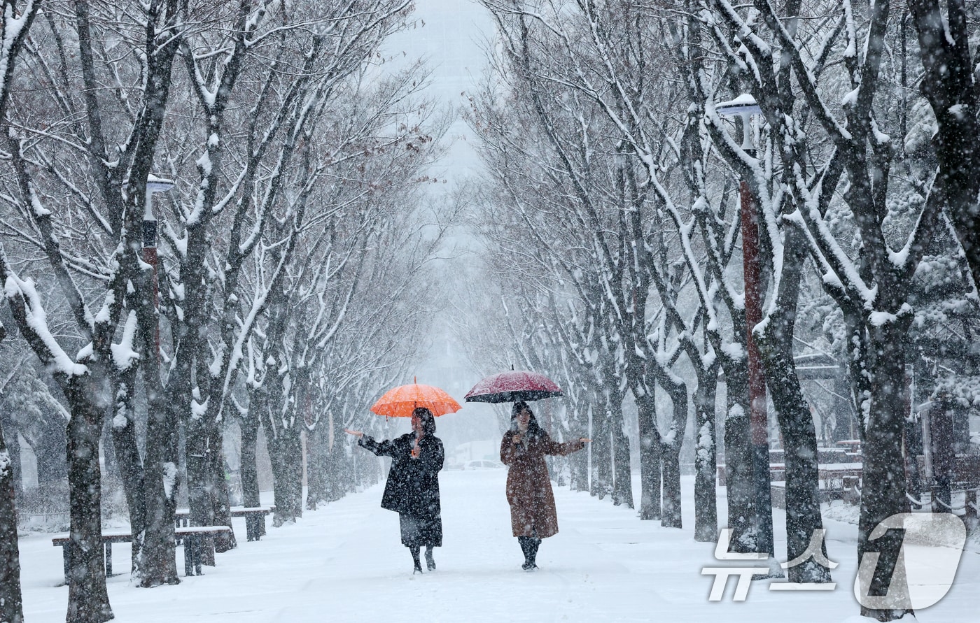 대전과 충청지역 곳곳에 대설주의보가 발효된 24일 오전 대전 서구 보라매공원에서 시민들이 우산을 쓰고 지나고 있다. 2026.2.24 ⓒ 뉴스1 김기태 기자
