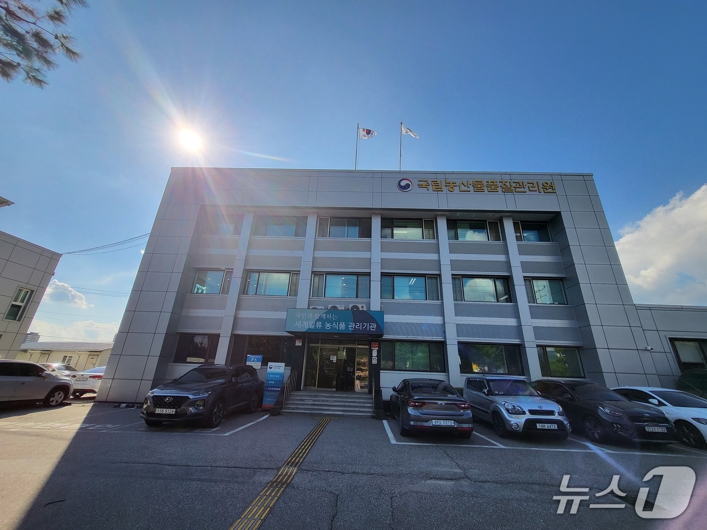 국립농산물품질관리원 강원지원.(뉴스1 DB)