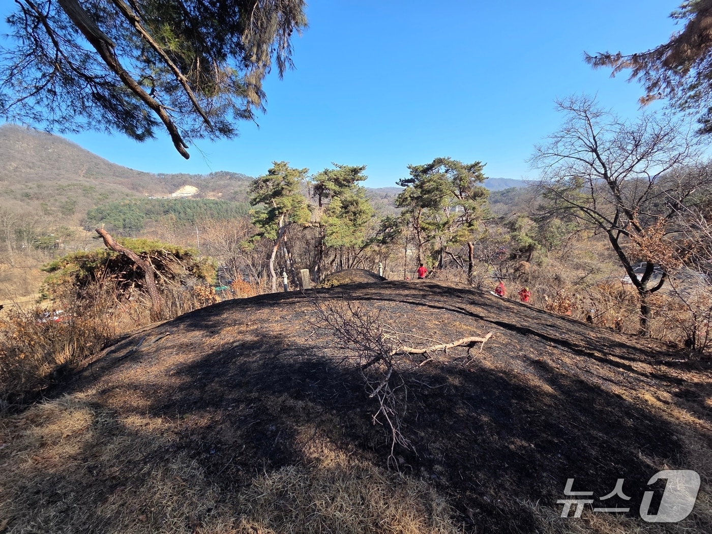 경기 여주시 산불 현장.(여주소방서 제공. 재판매 및 DB 금지)/뉴스1