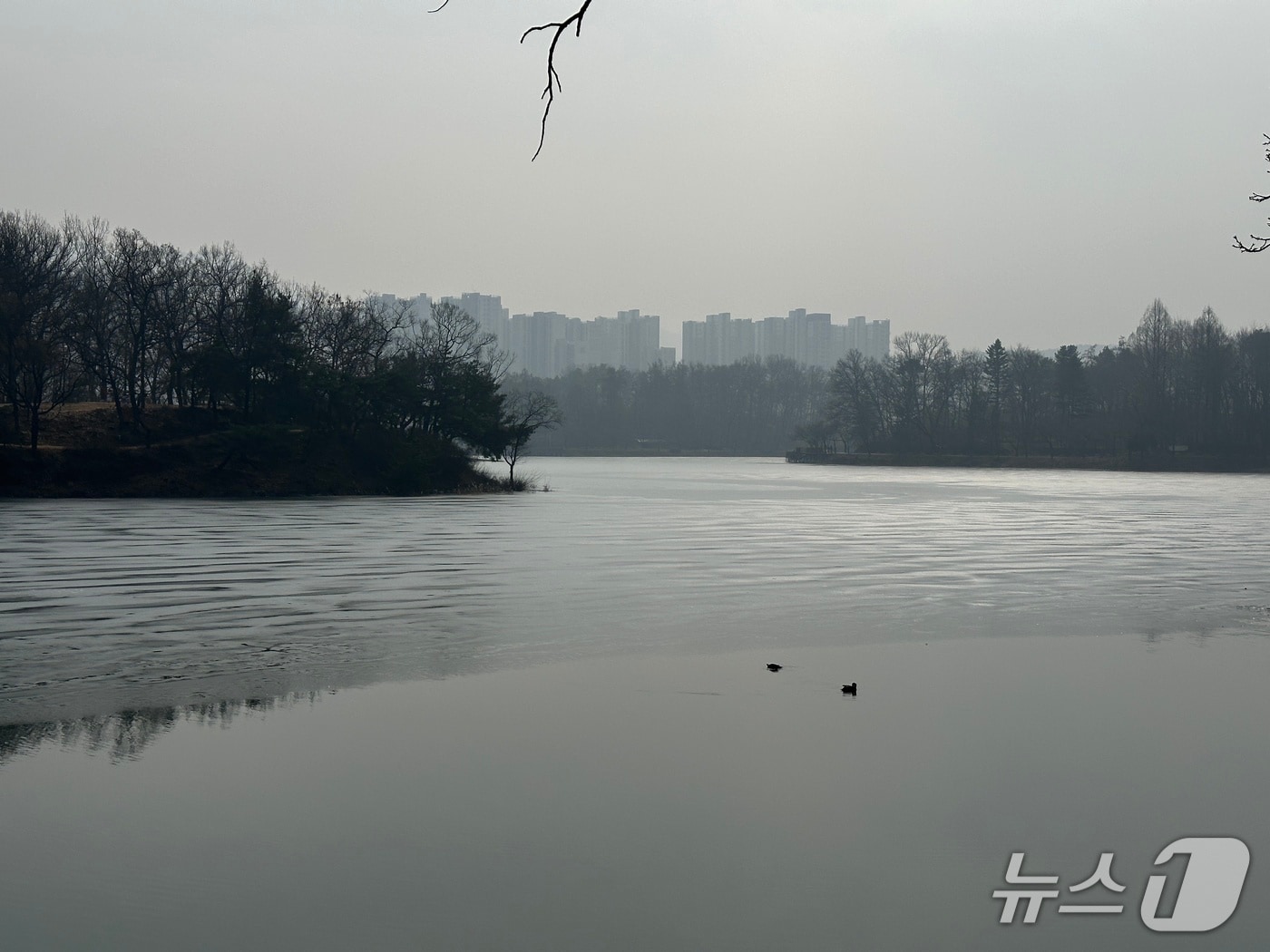 충주 호암지.(재판매 및 DB금지)/뉴스1 