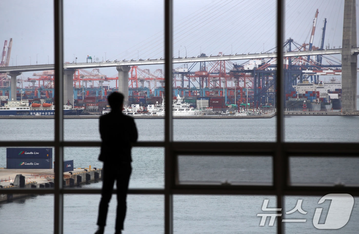 부산 동구 부산항국제전시컨벤션센터에서 한 시민이 부산항이 보이는 창문 밖을 바라보고 있는 모습  ⓒ 뉴스1 윤일지 기자