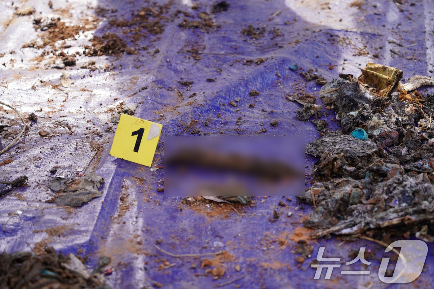 26일 국토부 항공철도사고조사위원회와 전남경찰청 등이 합동으로 진행한 제주항공 사고기 기체잔해물 재분류작업에서 인골 추정 유해가 발견된 모습.(유가족협의회 제공. 재판매 및 DB 금지) 2026.2.26 