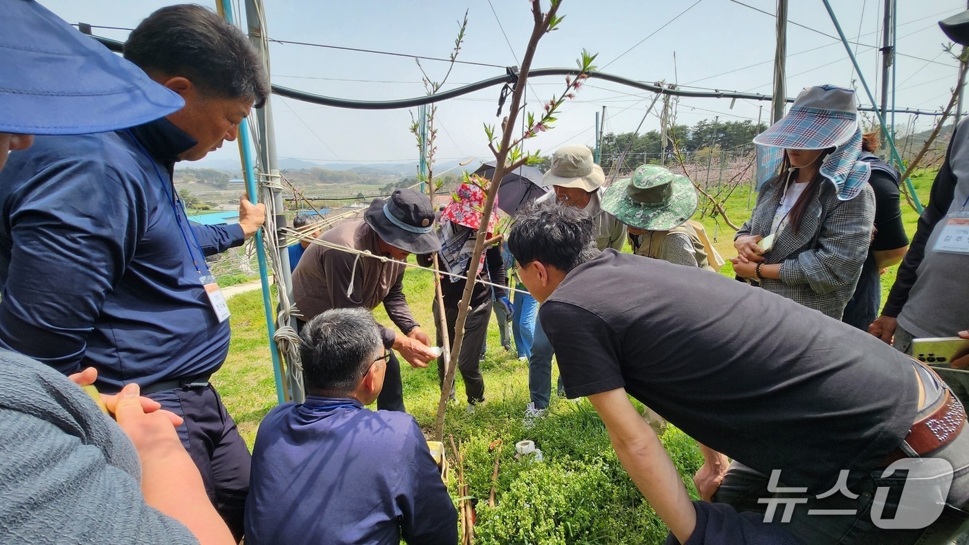 전북 임실군 농업기술센터는 오는 3월 11일까지 '농업인대학' 교육생을 모집한다.(임실군제공. 재판매 및 DB금지)2026.2.26/뉴스1