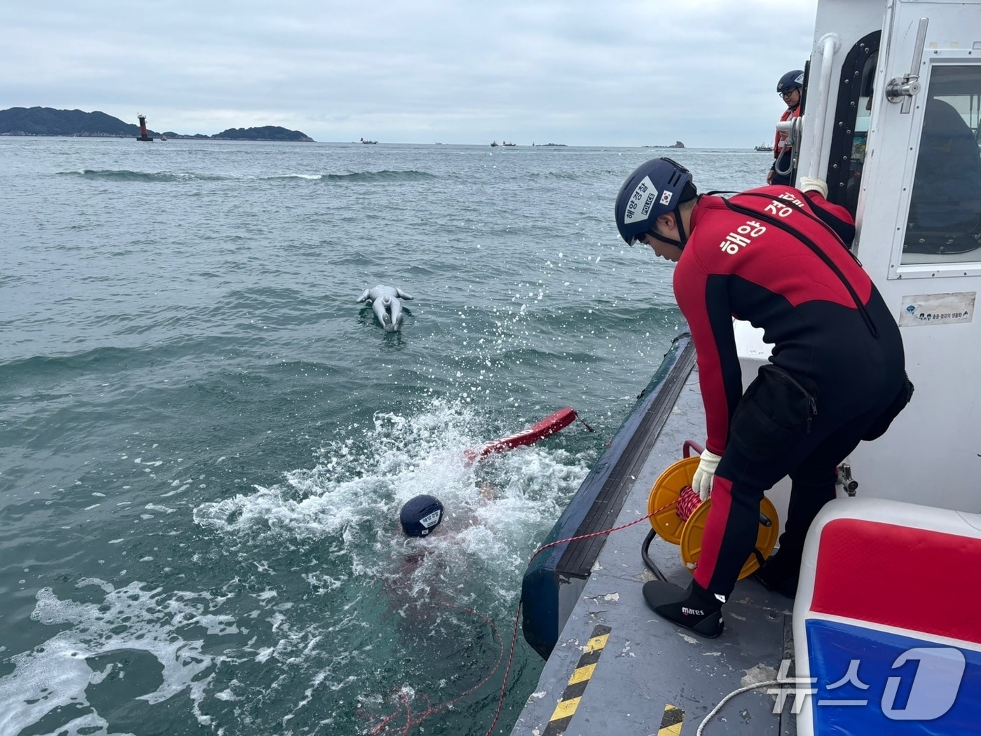 태안해경 직원들이 현장 팀워크 훈련을 진행 중인 모습. (태안해경 제공, 재판매 및 DB금지) / 뉴스1 