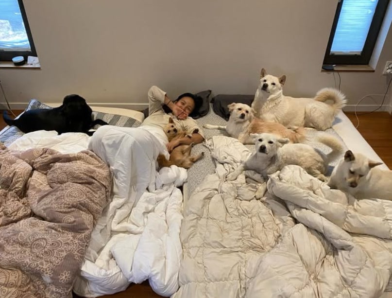 이효리 인스타그램