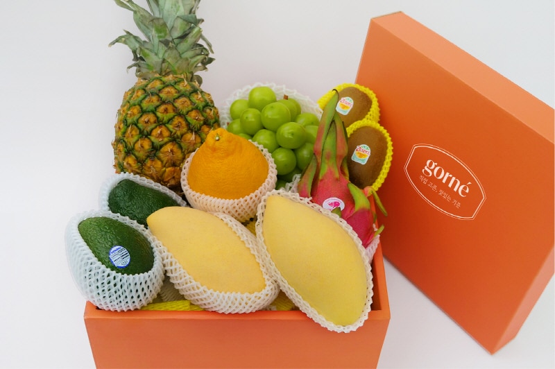 그린랩스, 과일 브랜드 '고르네' 설 명절 선물세트 출시 - 뉴스 썸네일 이미지