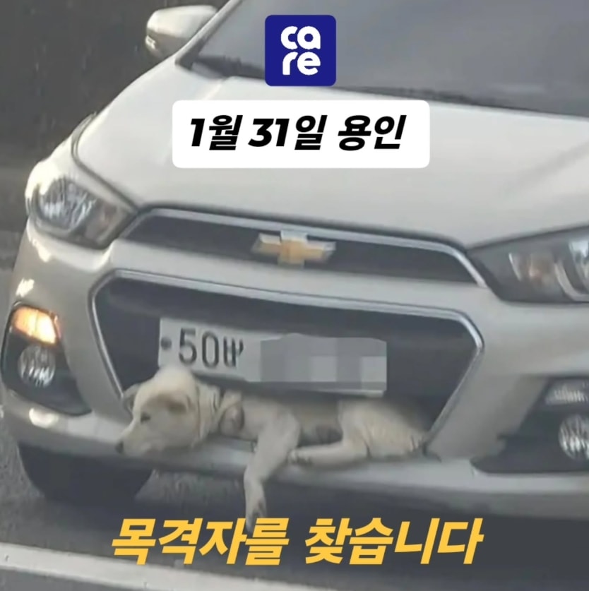 '케어' 공식 sns