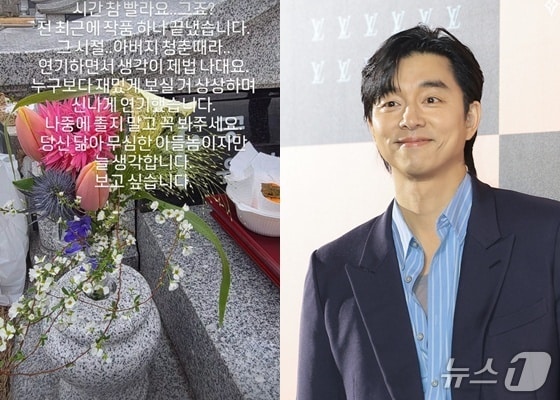 사진=공유 인스타그램, 뉴스1 DB ⓒ 뉴스1