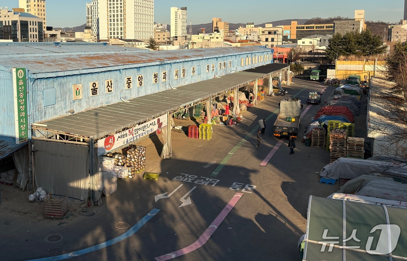 울산농수산물도매시장. /뉴스1