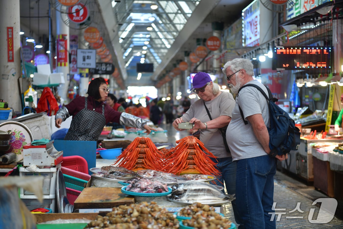속초관광수산시장에서 수산물 둘러보는 외국인 관광객.(속초시 제공, 재판매 및 DB 금지) 2026.2.5/뉴스1