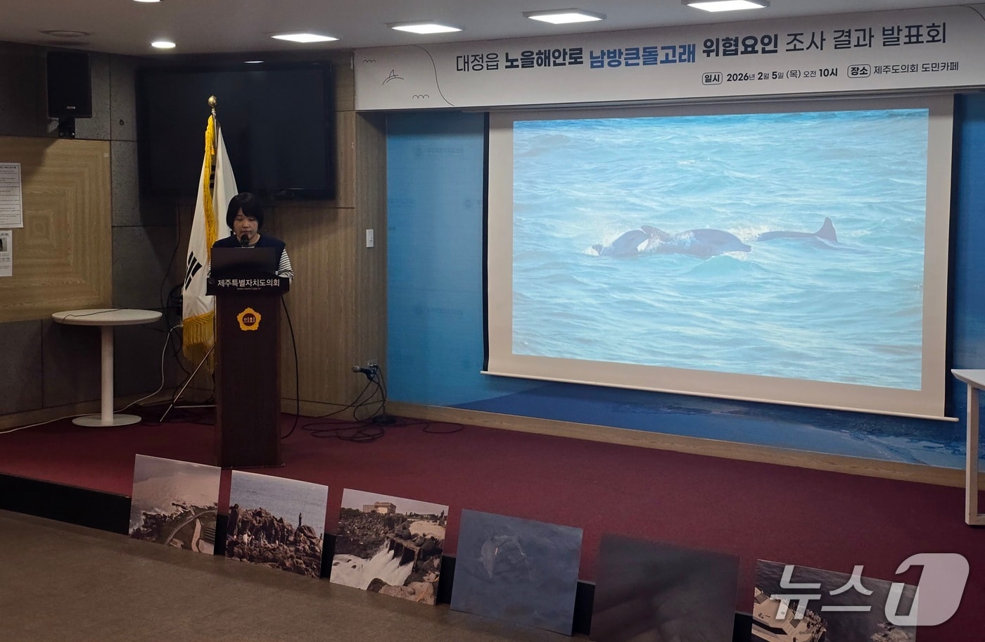 해양시민과학센터 '파란'은 5일 도의회 도민카페에서 서귀포시 대정읍 노을해안로 남방큰돌고래 위협 요인 조사 결과를 발표했다. 뉴스1