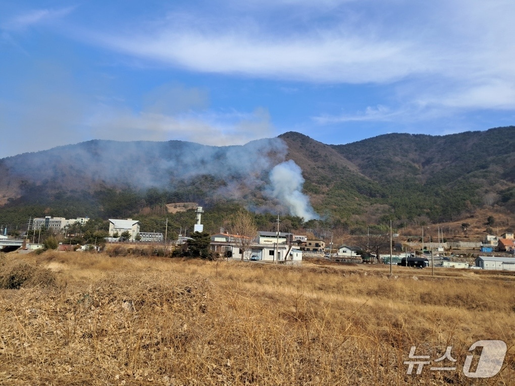 5일 오후 1시 57분쯤 창원시 마산합포구 진동면 사동리의 한 야산에서 불이나 48분만에 진화 됐다. 사진은 화재 현장 모습.(산림청 제공. 재판매 및 DB금지)