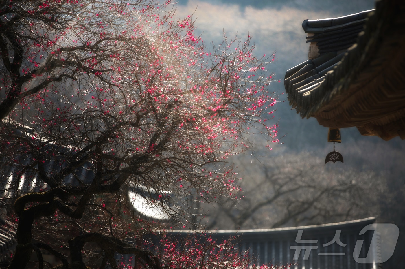  사진은 2022년 2회 대상 수상작 '임하선, 화엄사의 봄' (지리산대화엄사 제공. 재판매 및 DB 금지) 