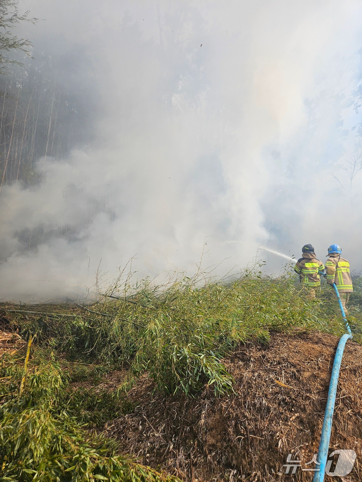 6일 부산 기장군 장안읍 오리의 한 야산에서 불이 나 소방이 진화에 나선 모습 (소방 제공. 재판매 및 DB금지)