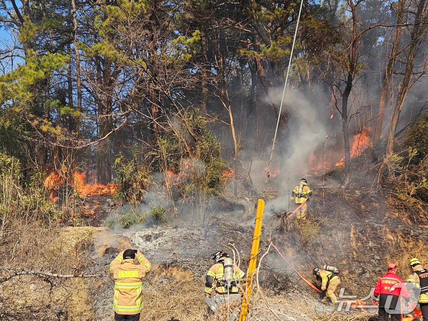 6일 오후 1시4분쯤 경북 상주시 공검면 병암리의 한 야산에서 불이나 산불진화대원들이 불길을 잡고 있다.(경북소방본부 제공. 재판매 및 DB 금지)2026.2.6/뉴스1