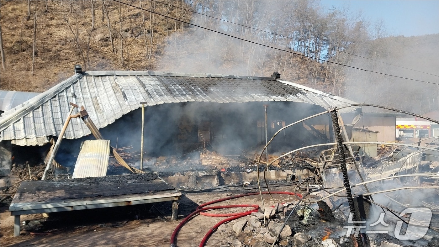 6일 오후 1시16분쯤 경북 청송군 파천면의 한 주택에서 불이 나 90대 남성이 숨졌다.(경북소방본부 제공. 재판매 및 DB금지)