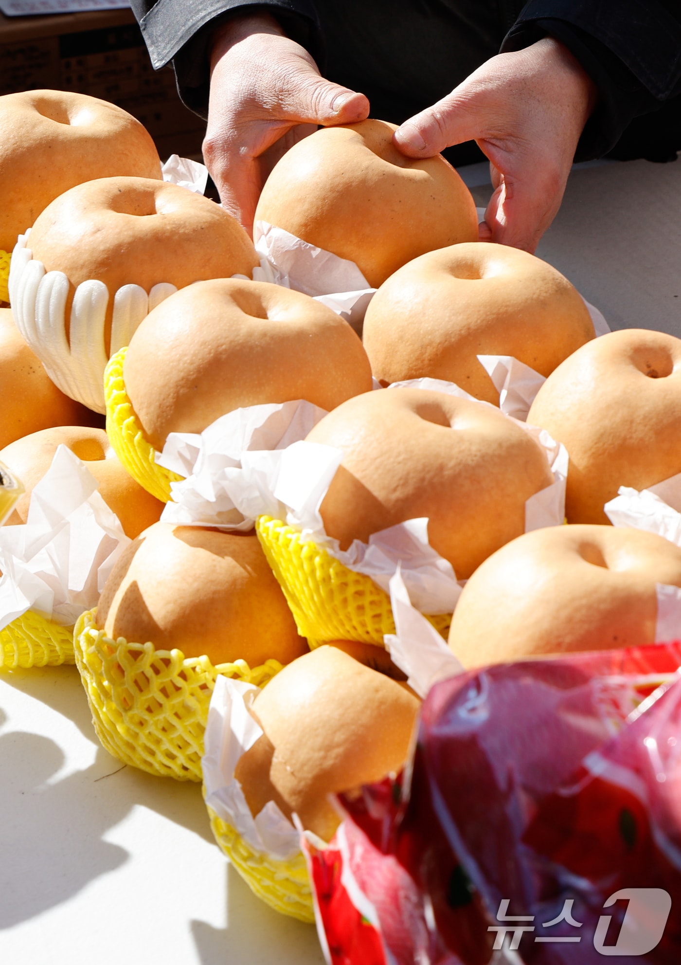 서울 서대문구 설맞이 직거래장터에 사과, 배 등 과일이 진열돼 있다. 2026.2.7 ⓒ 뉴스1 안은나 기자