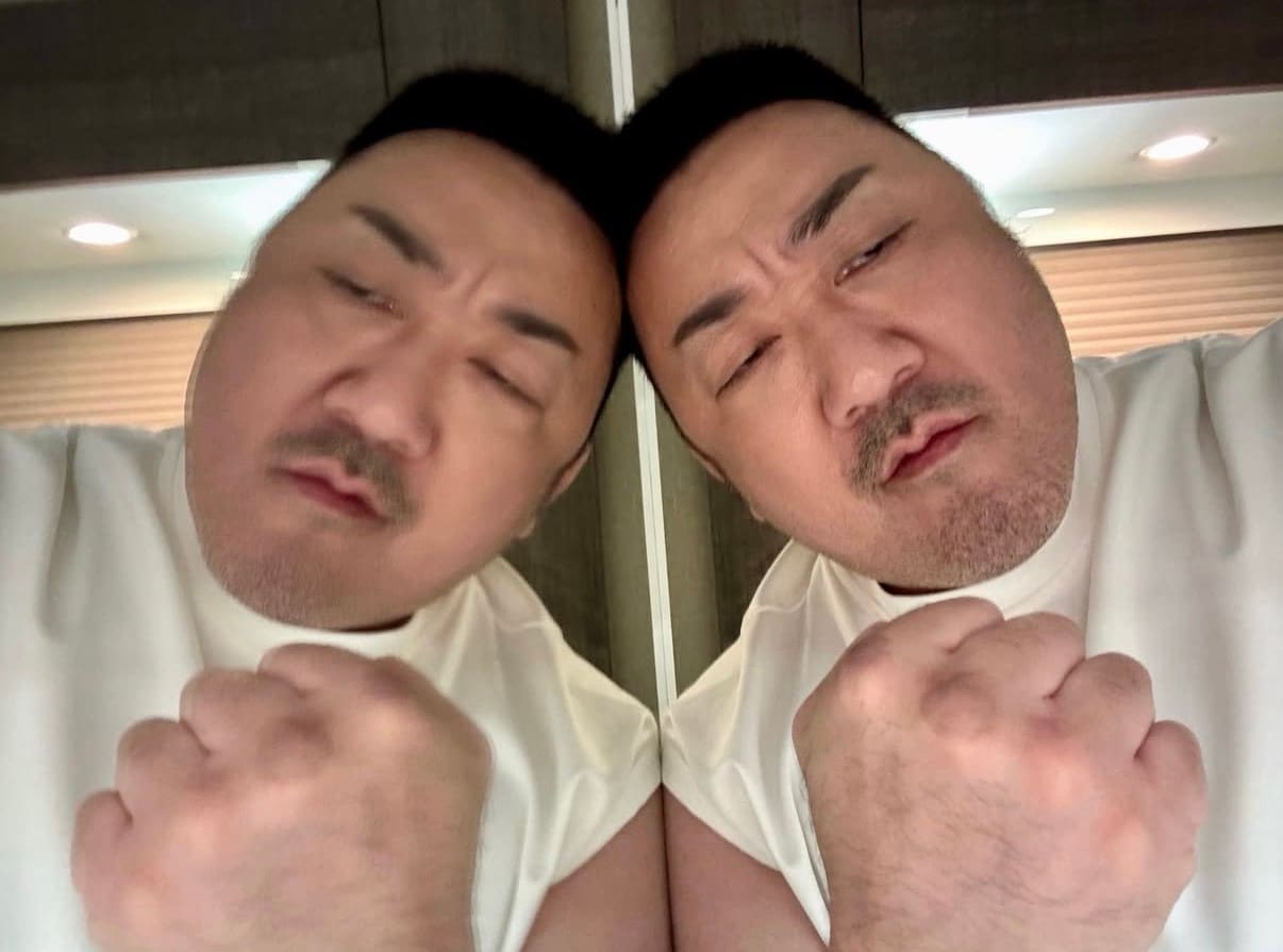 마동석 SNS 캡처