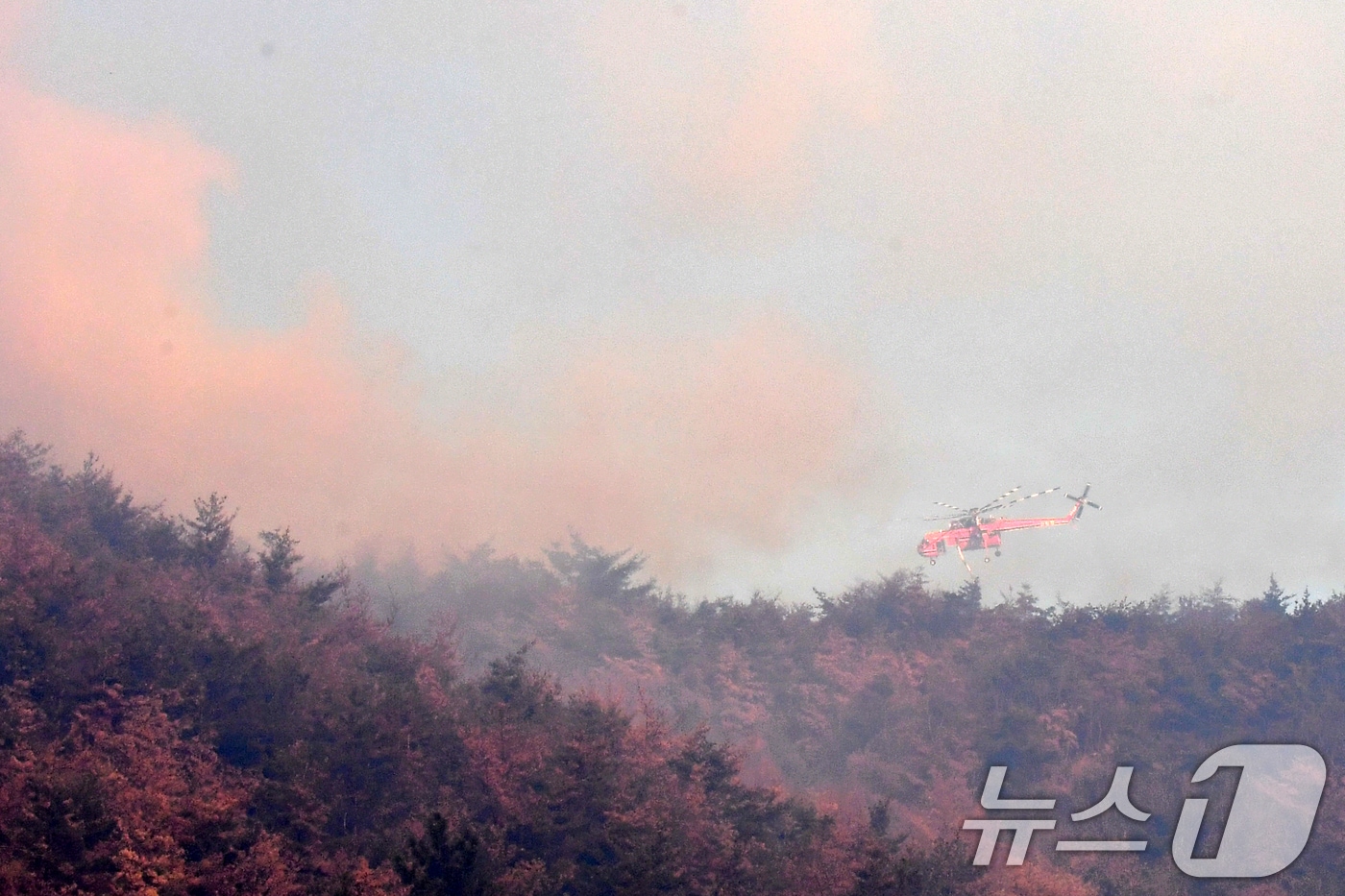 8일 오전 산침청 초대형 진화헬기가 경북 경주시 문무대왕면 입천리에서 발생한 산불을 진화하고 았다. 2026.2.8 ⓒ 뉴스1 최창호 기자