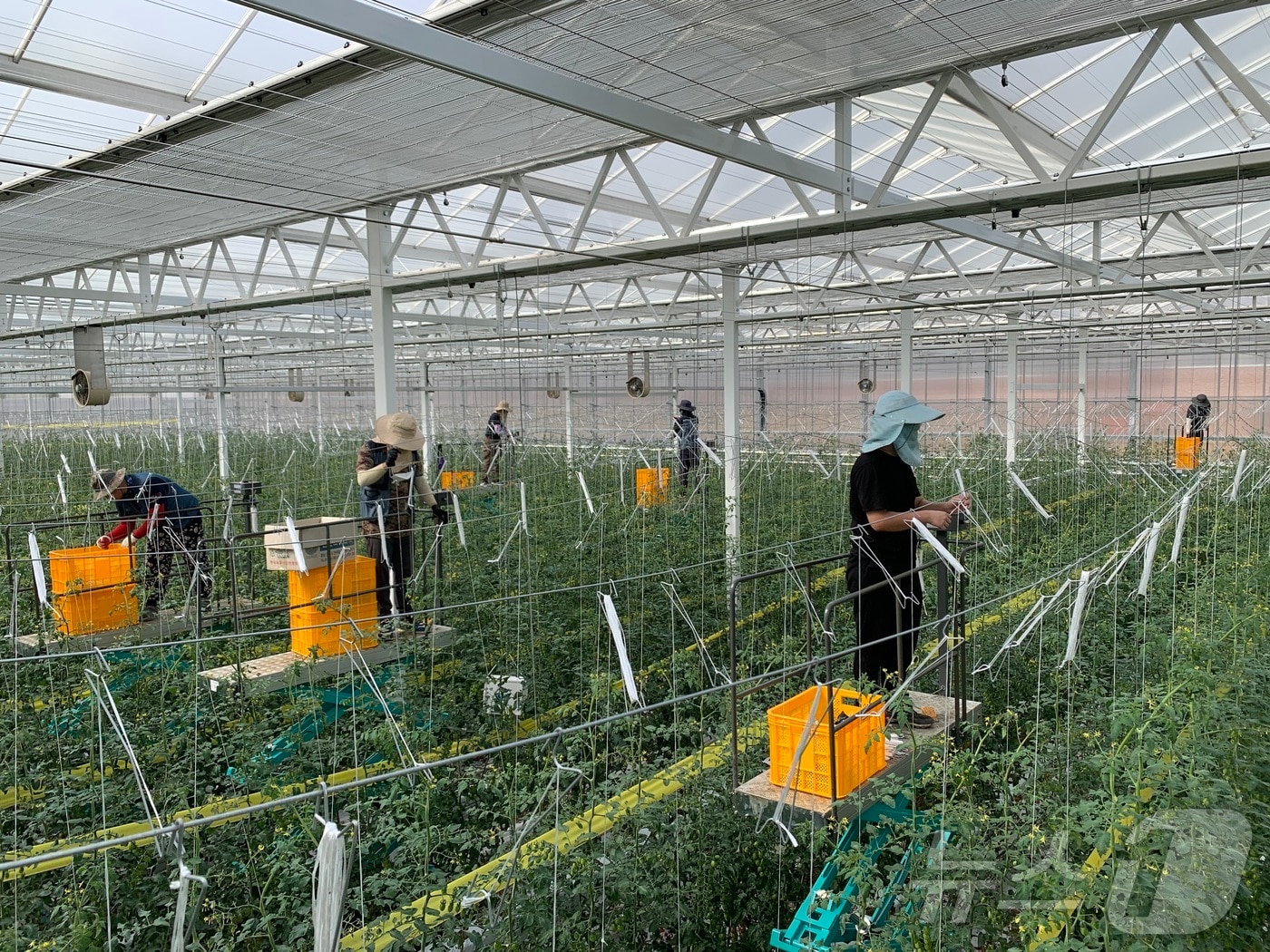 농림축산식품부의 ‘스마트농업 육성지구’ 사업에 경북 상주시가 선정됐다. 상주시는 2028년까지 낙동면 신상리에 200억원을 들여 임대형 스마트팜과 창업단지를 조성할 계획이다.(경북도 제공. 재판매 및 DB금지) /뉴스1