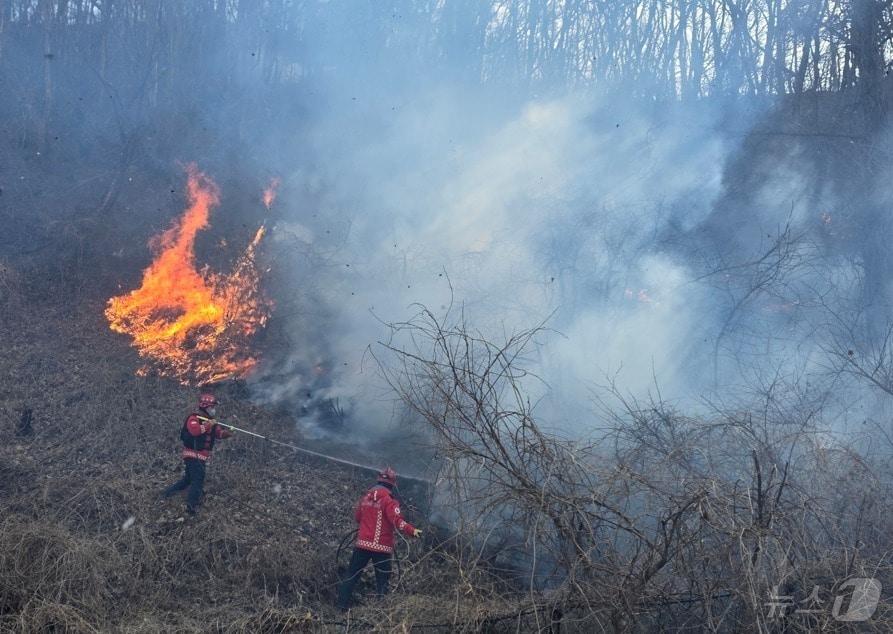 산불 발생 이틀째인 8일 산림청 산불특수진화대원들이 경북 경주시 문무대왕면 입천리 산불 현장에서 지상 진화 작업을 벌이고 있다.(산림청 제공. 재판매 및 DB금지)2026.2.8 ⓒ 뉴스1 이성덕 기자