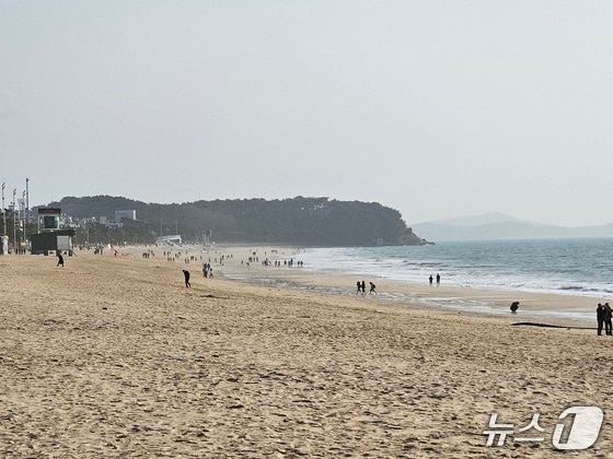 강추위로 인해 보령 대천해수욕장이 한산한 모습. / 뉴스1