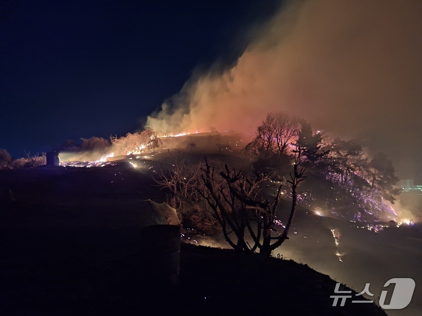 8일 오후 7시 47분쯤 전남 여수시 묘도동의 한 야산에서 불이 나 소방당국이 진화하고 있다.(전남소방본부 제공. 재판매 및 DB 금지)