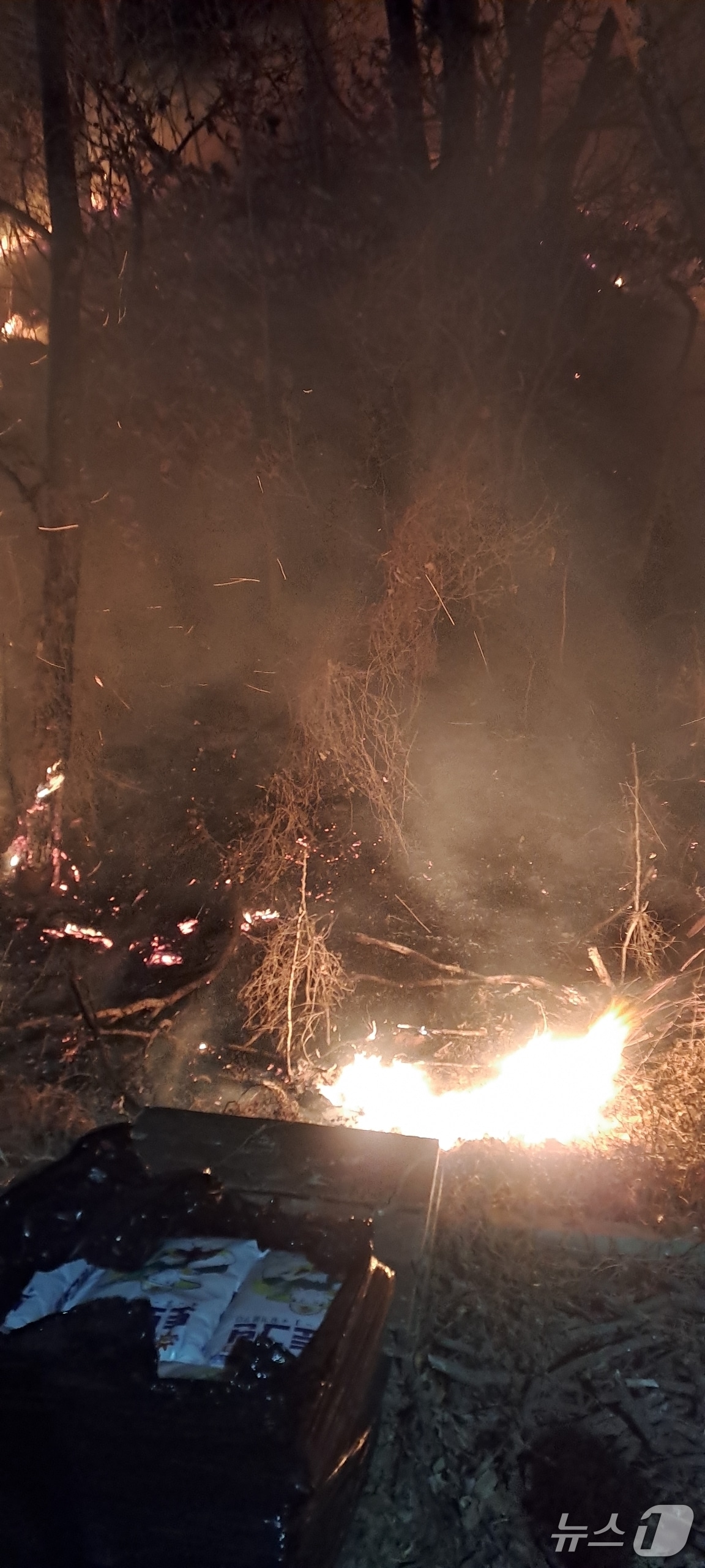  서산 지곡면 산불 현장. (산림청 제공, 재판매 및 DB금지) / 뉴스1