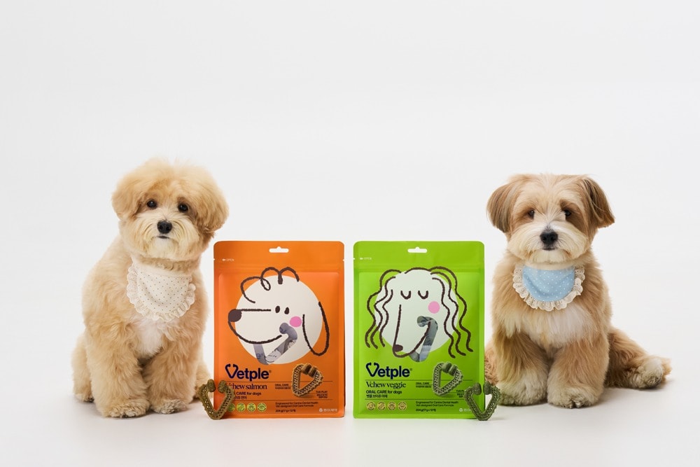 (동아제약 제공)