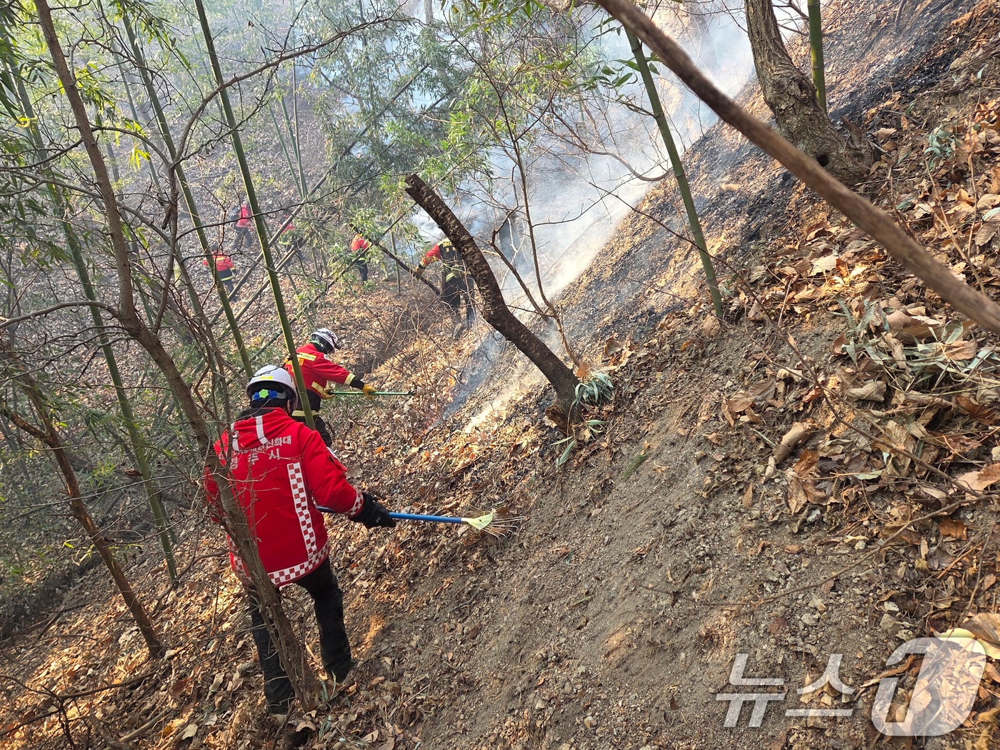 9일 경북 경주시 소속 산불전문예방진화대원들이 문무대왕면에서 발생한 산블 잔불 정리를 하고 있다. 경주시는 이날 오후 5시부로 잔불정리를 끝내고 뒷불 감시 활동을 하고 있다. (독자제공, 재판매 및 DB금지) ⓒ 뉴스1 최창호 기자