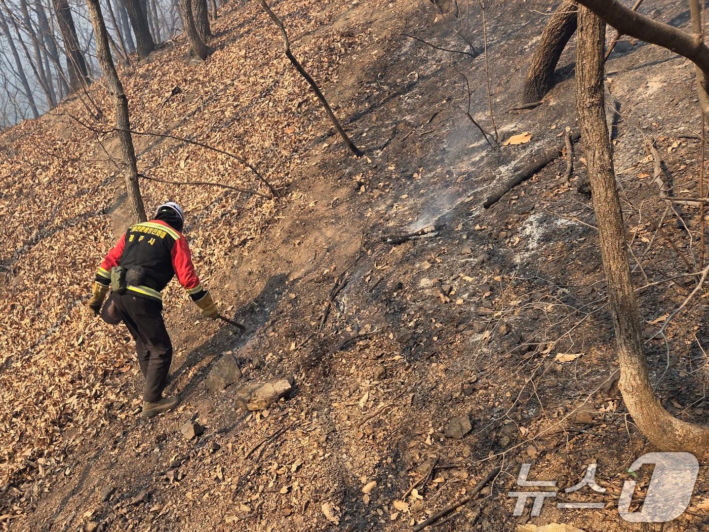 경북 경주시 산불전문예방진화대원들이 9일 문무대왕면 야산에서 잔불을 정리하고 있다. 지난 7일 발생한 산불은 43시간 만에 진화됐다.(독자 제공, 재판매 및 DB금지) 2026.2.9 ⓒ 뉴스1 최창호 기자