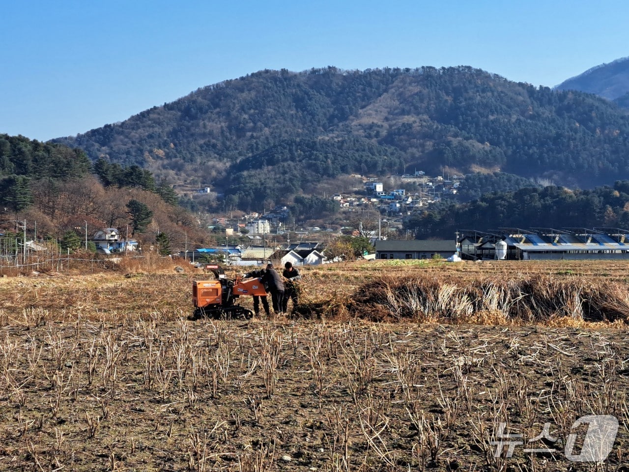  농촌 작업 모습 (자료사진) (경기 가평군 제공. 재판매 및 DB 금지)/뉴스1