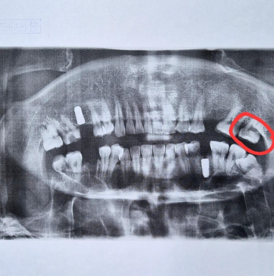 온라인 커뮤니티