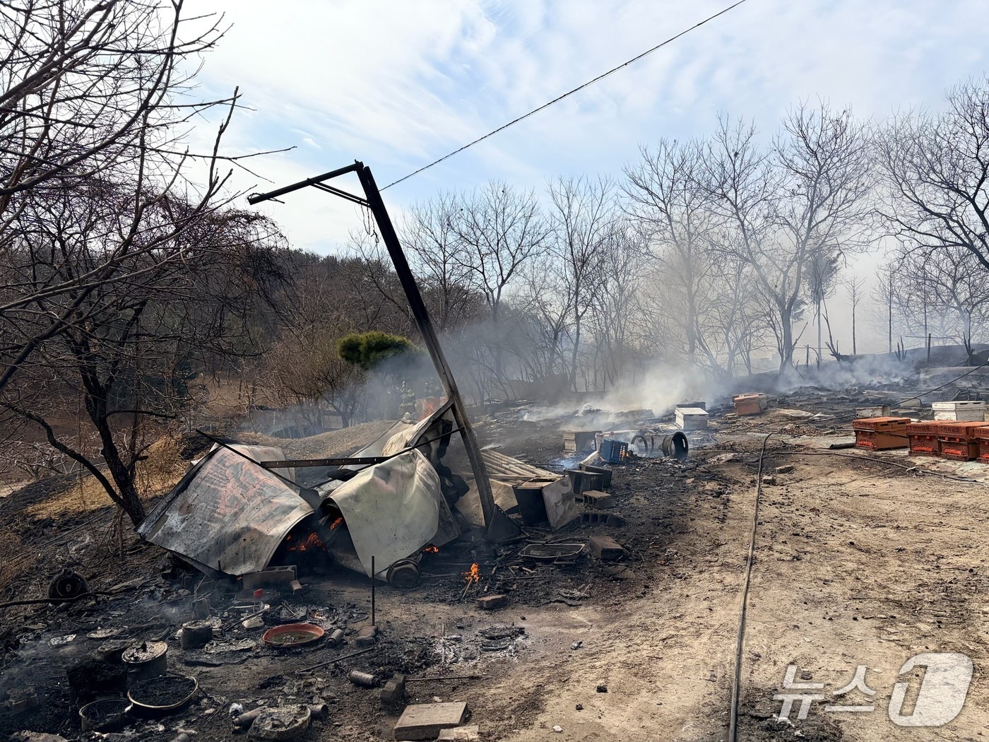 대전 대덕구 읍내동 화재로 불에 탄 양봉장. (대전소방 제공. 재판매 및 DB금지)
