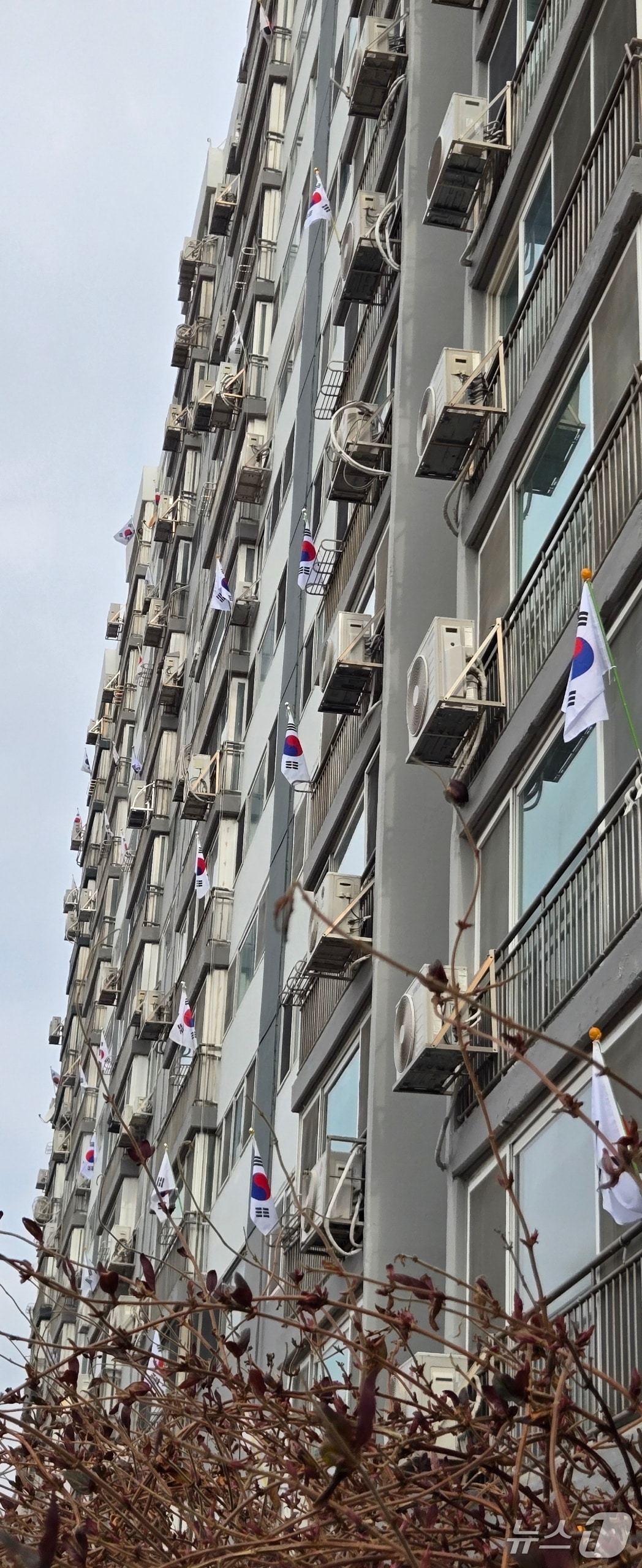1일 강원 춘천 지역의 한 아파트에 걸린 태극기들.(태극기 게양회 제공, 재판매 및 DB금지)